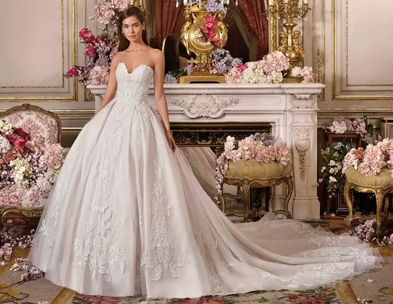 DP354_front.webp