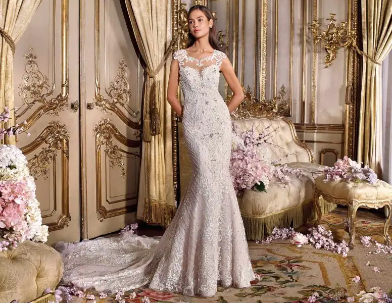 DP368_front.webp