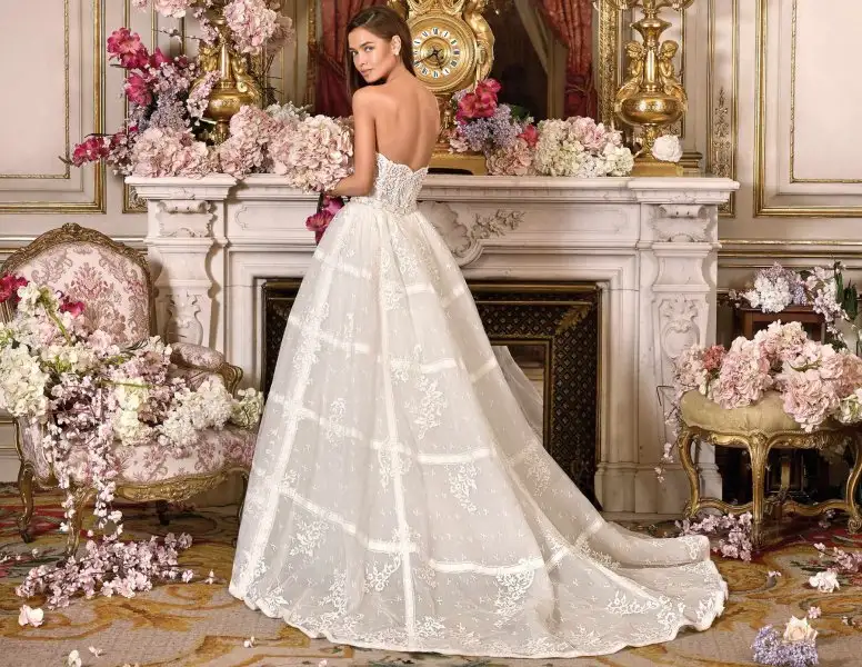 DP373_back.webp