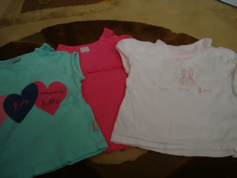 DSC00439.webp