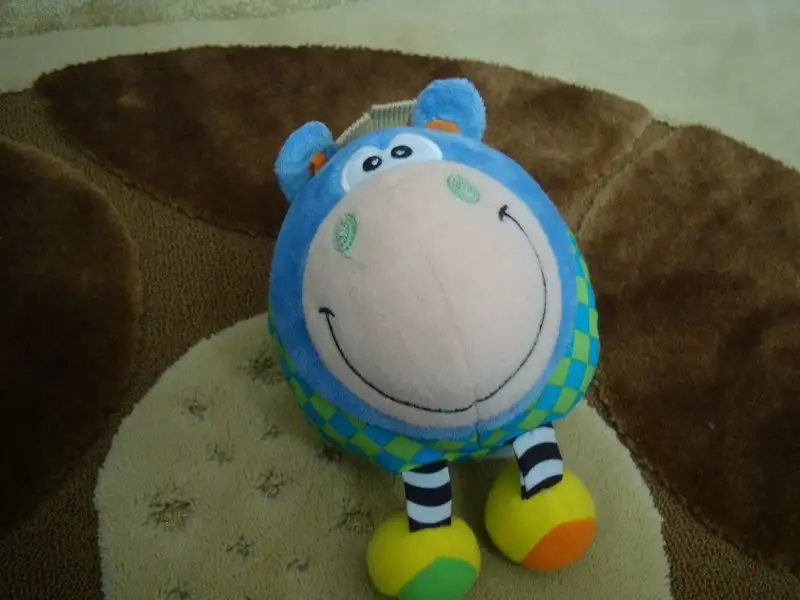 DSC00451.webp