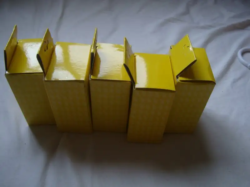 DSC00704.webp