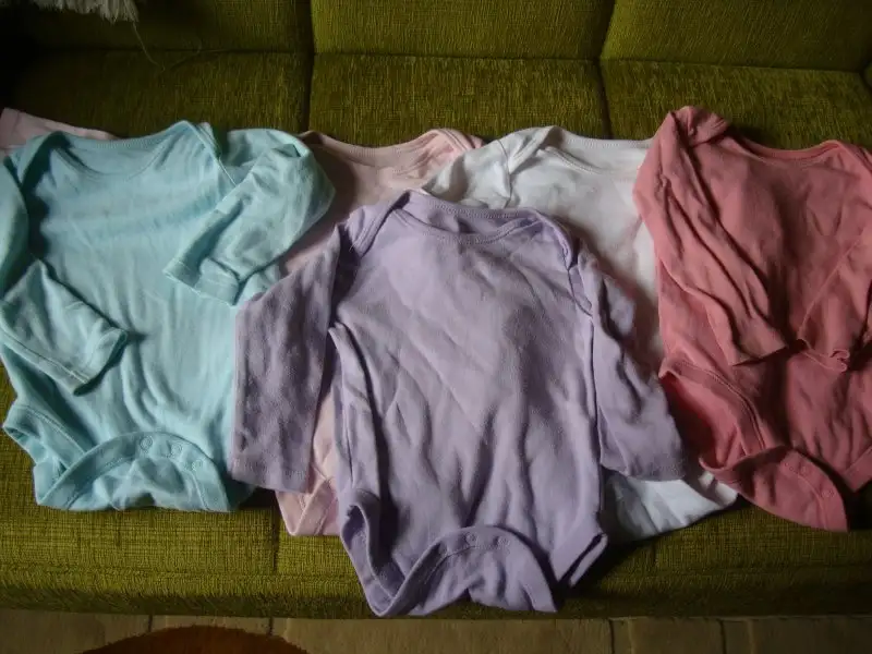 DSC00739.webp