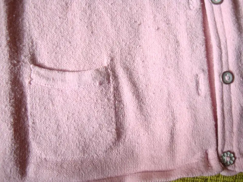 DSC00746.webp