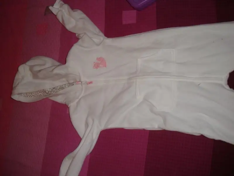 DSC00813.webp
