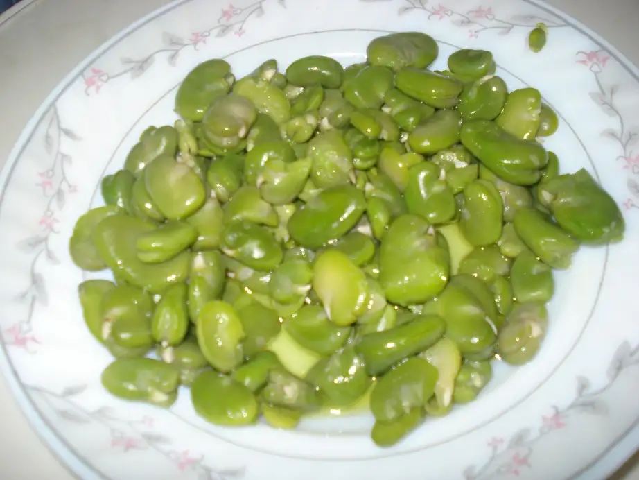 DSC02192.webp