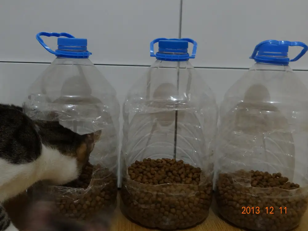 DSC03185.webp