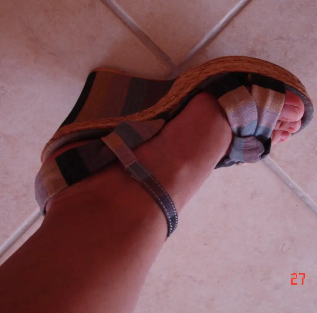 DSC04416.webp