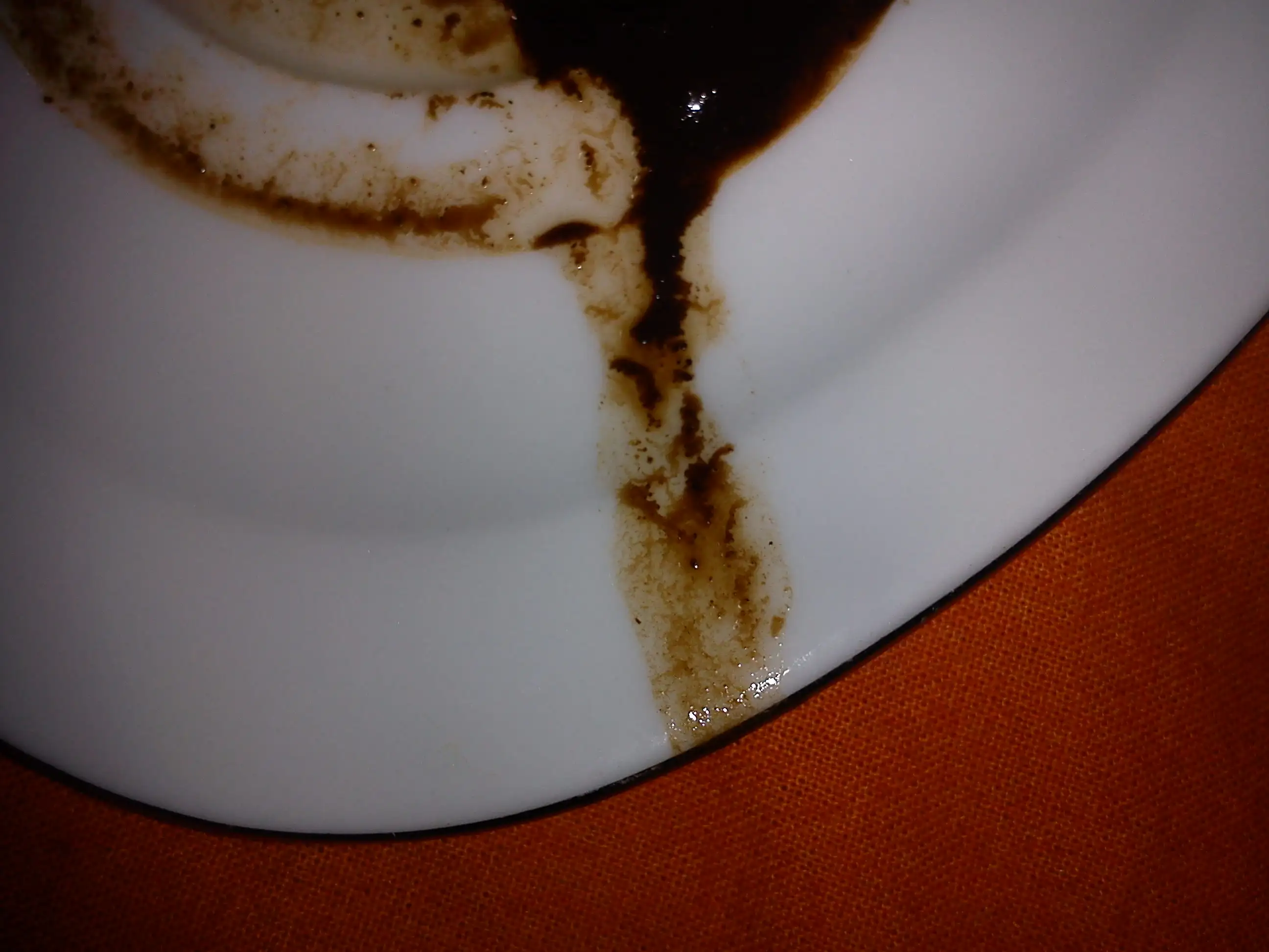 DSC05764.webp