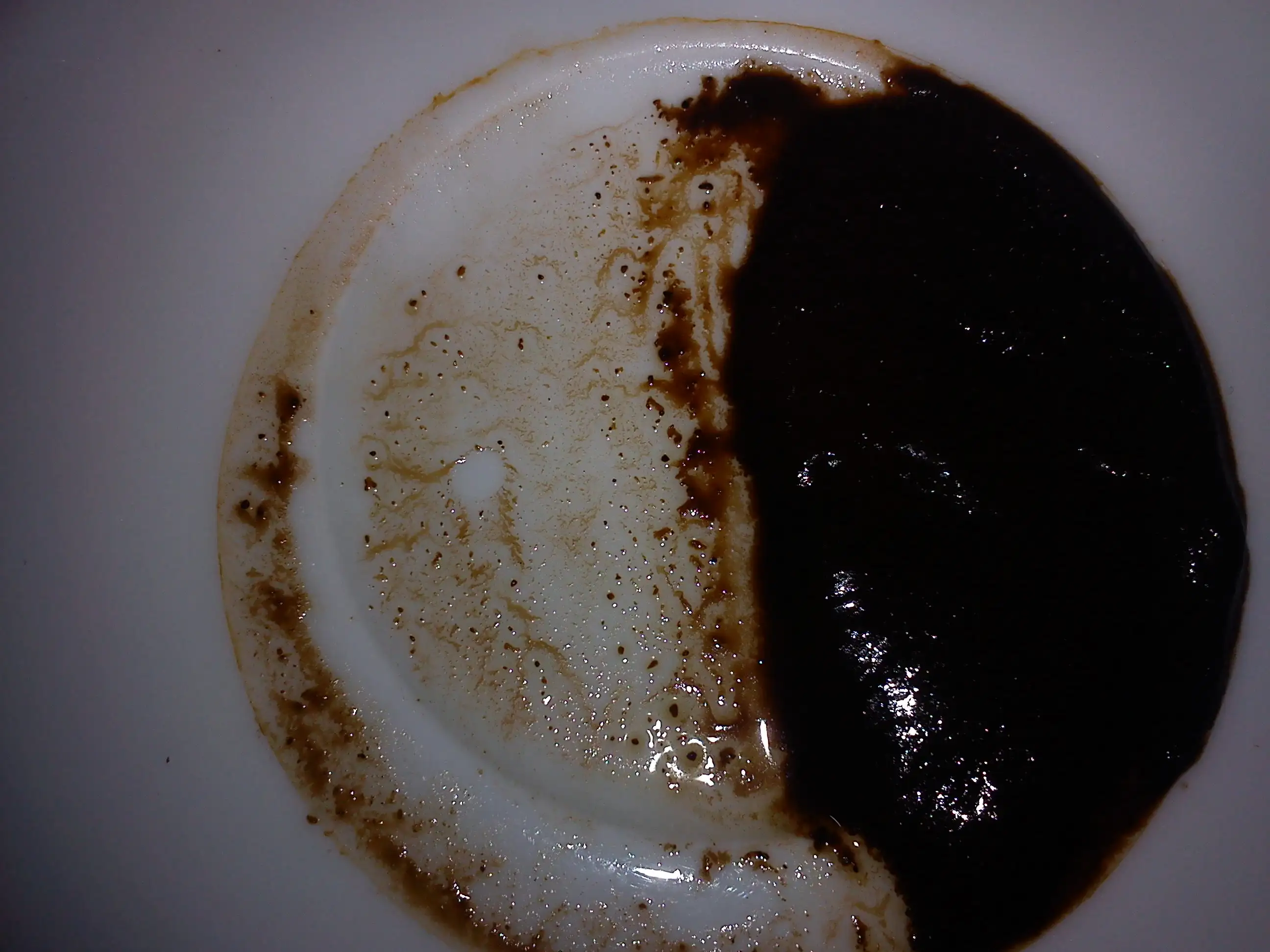 DSC05765.webp