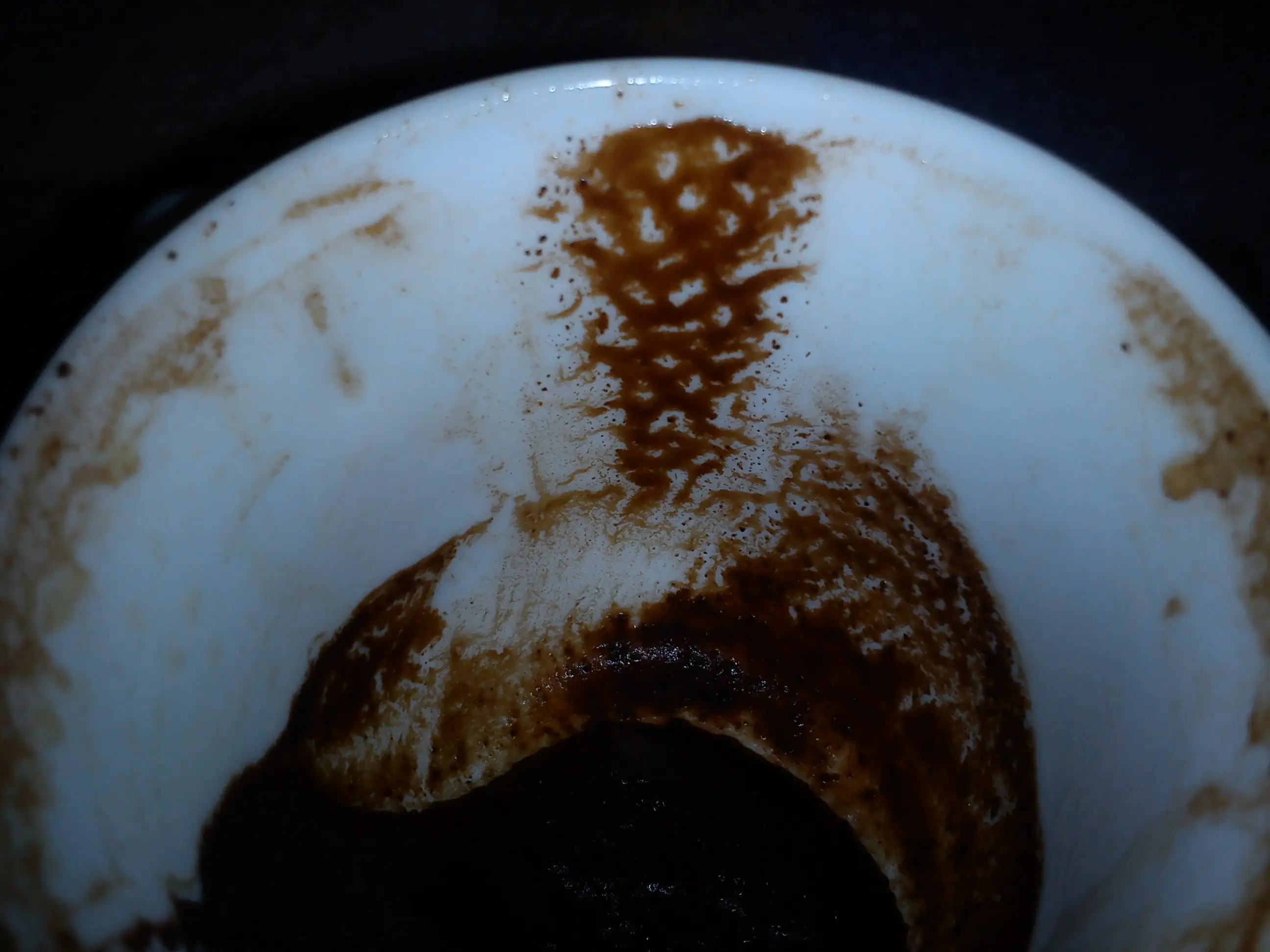 DSC05850.webp
