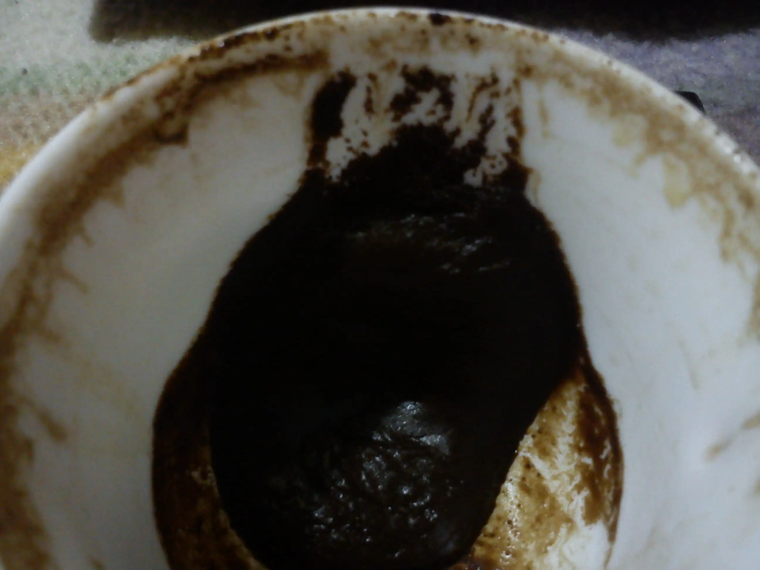DSC05854.webp