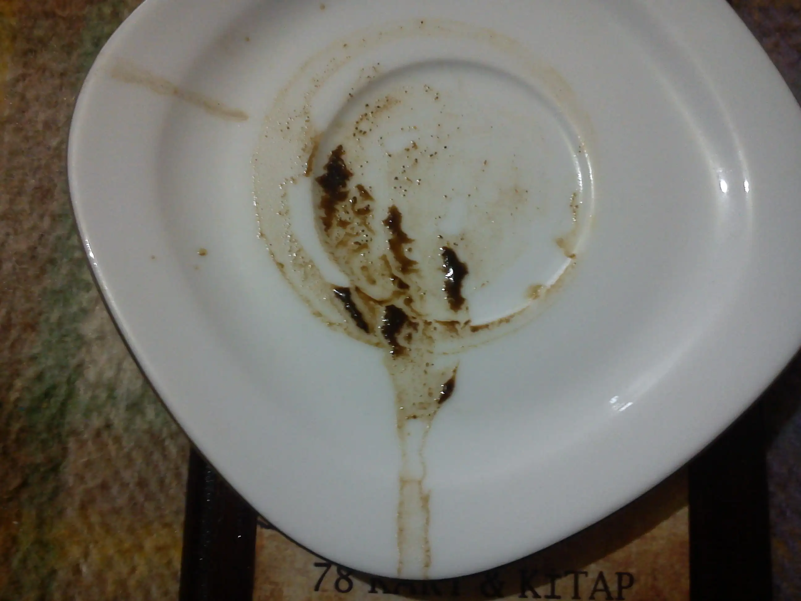 DSC05866.webp