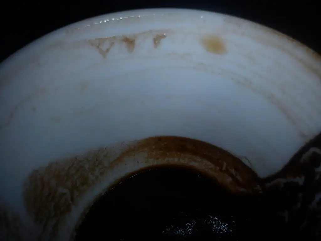 DSC06043.webp