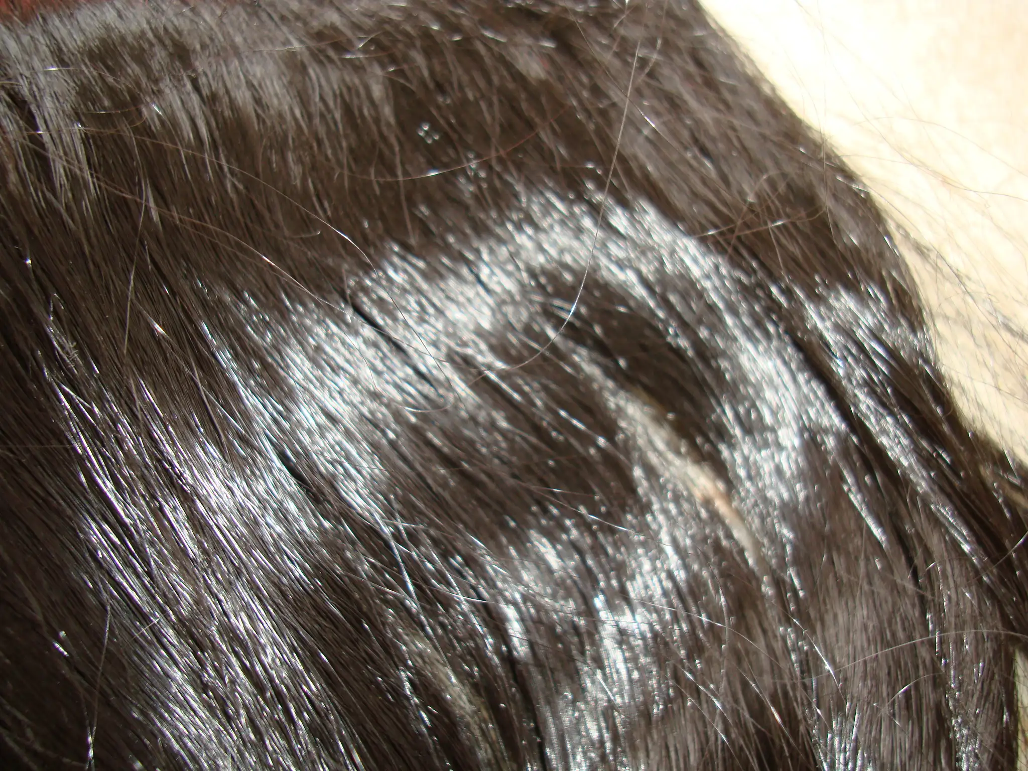 DSC08001.webp