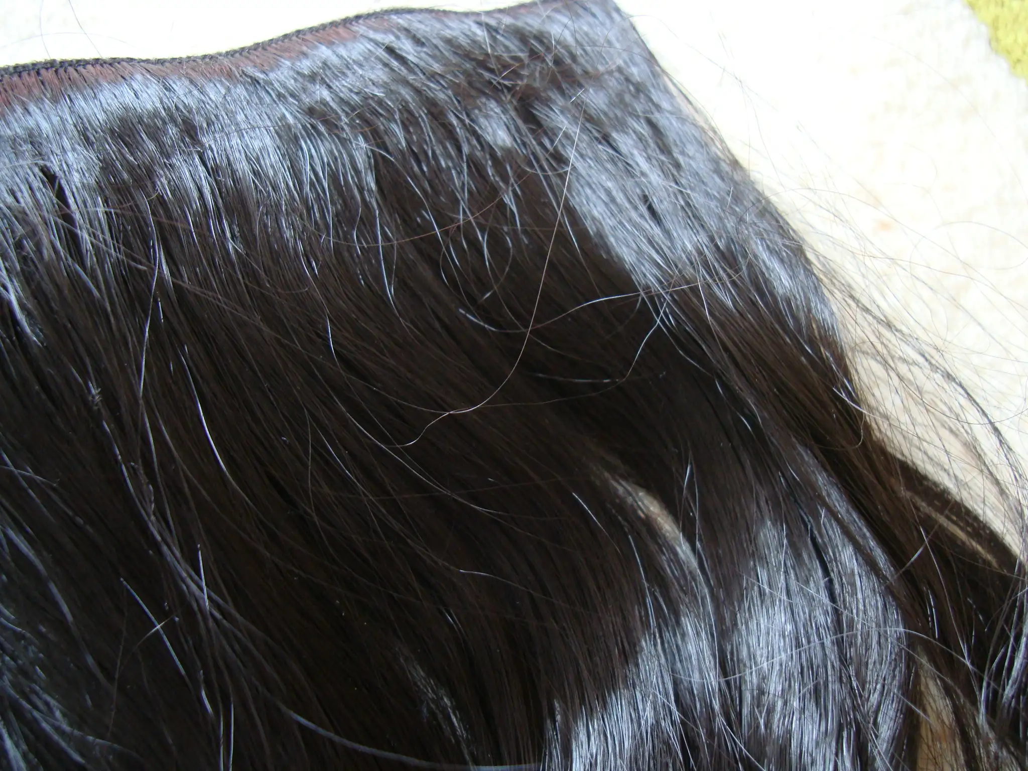 DSC08002.webp