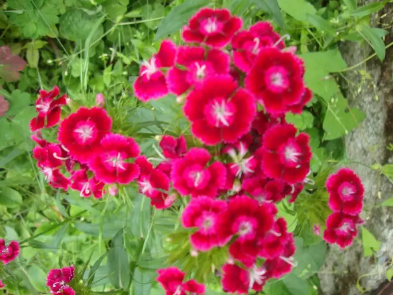 DSC08245.webp
