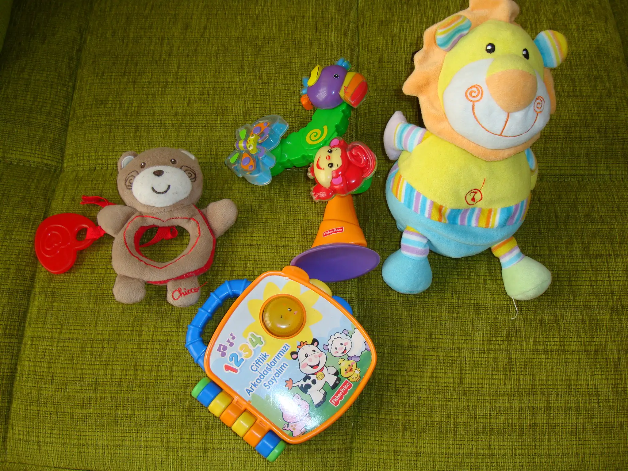 DSC08614.webp