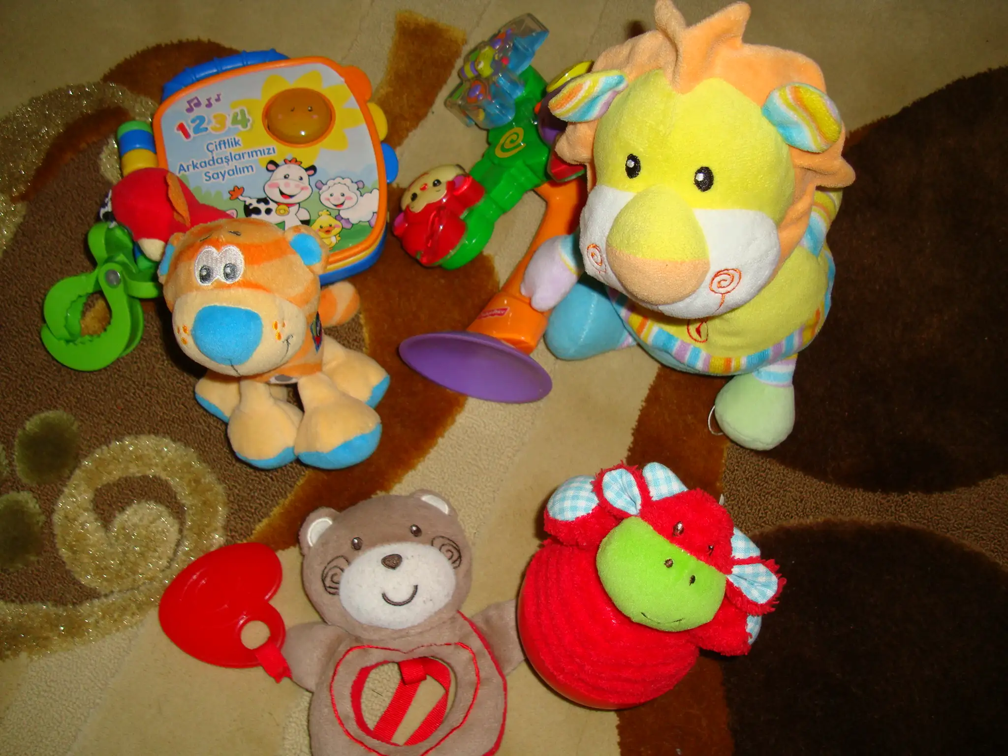 DSC08679.webp