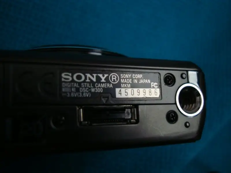 DSC09842.webp