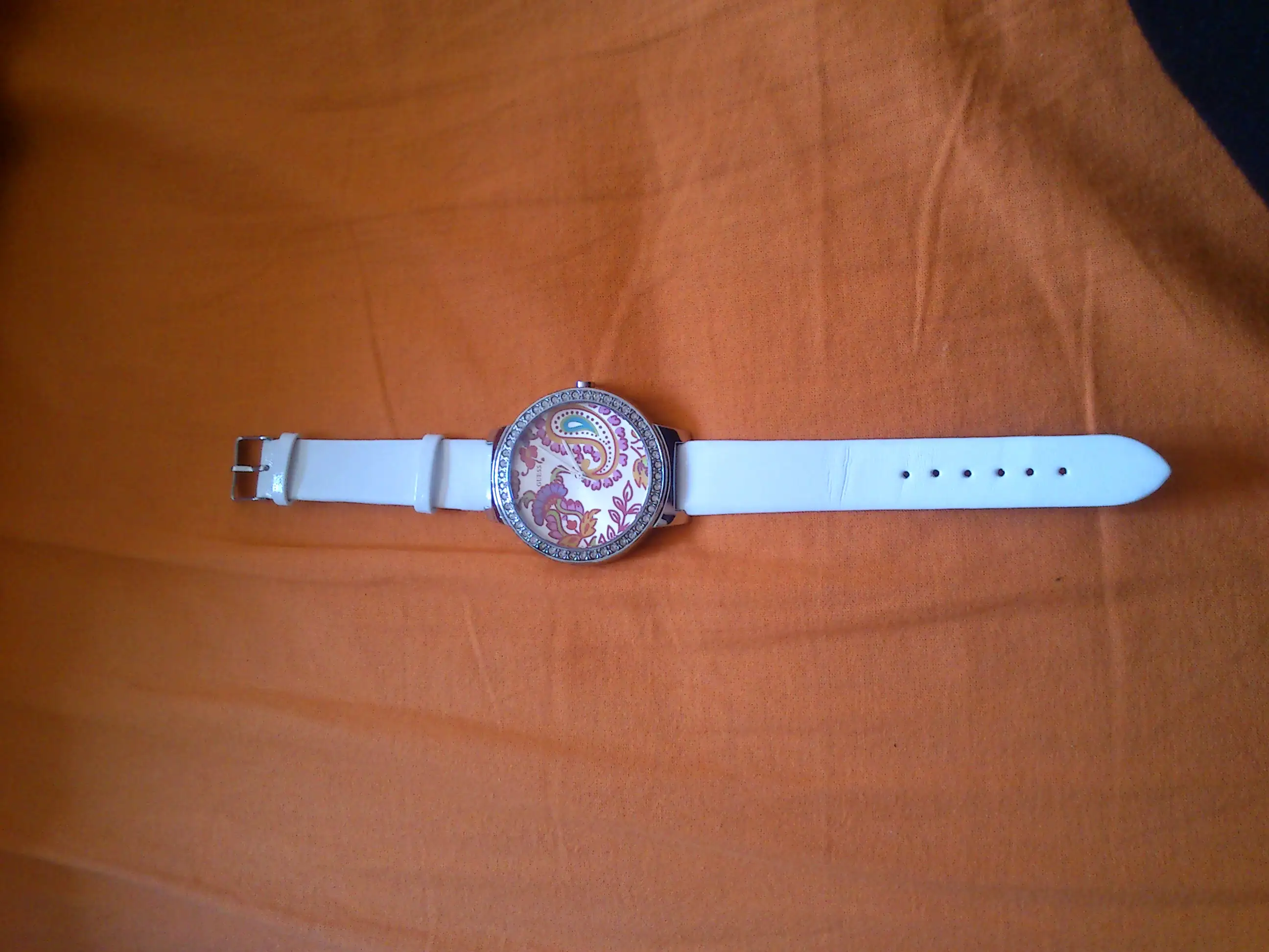DSC_0221.webp