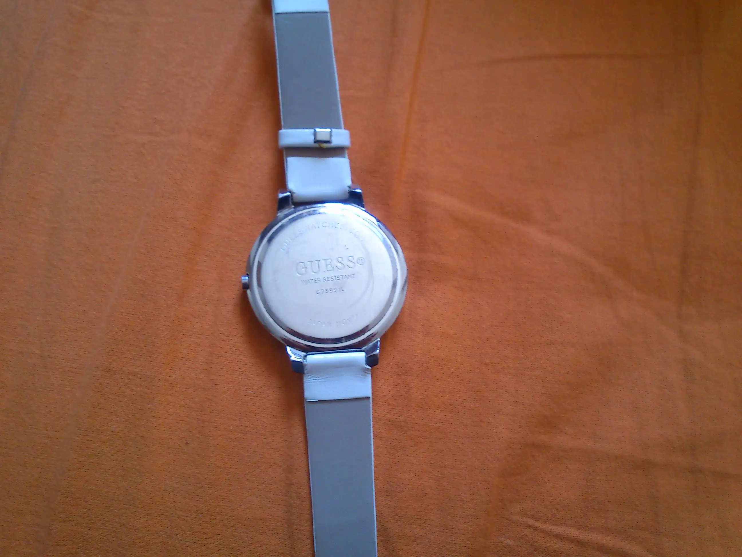 DSC_0224.webp