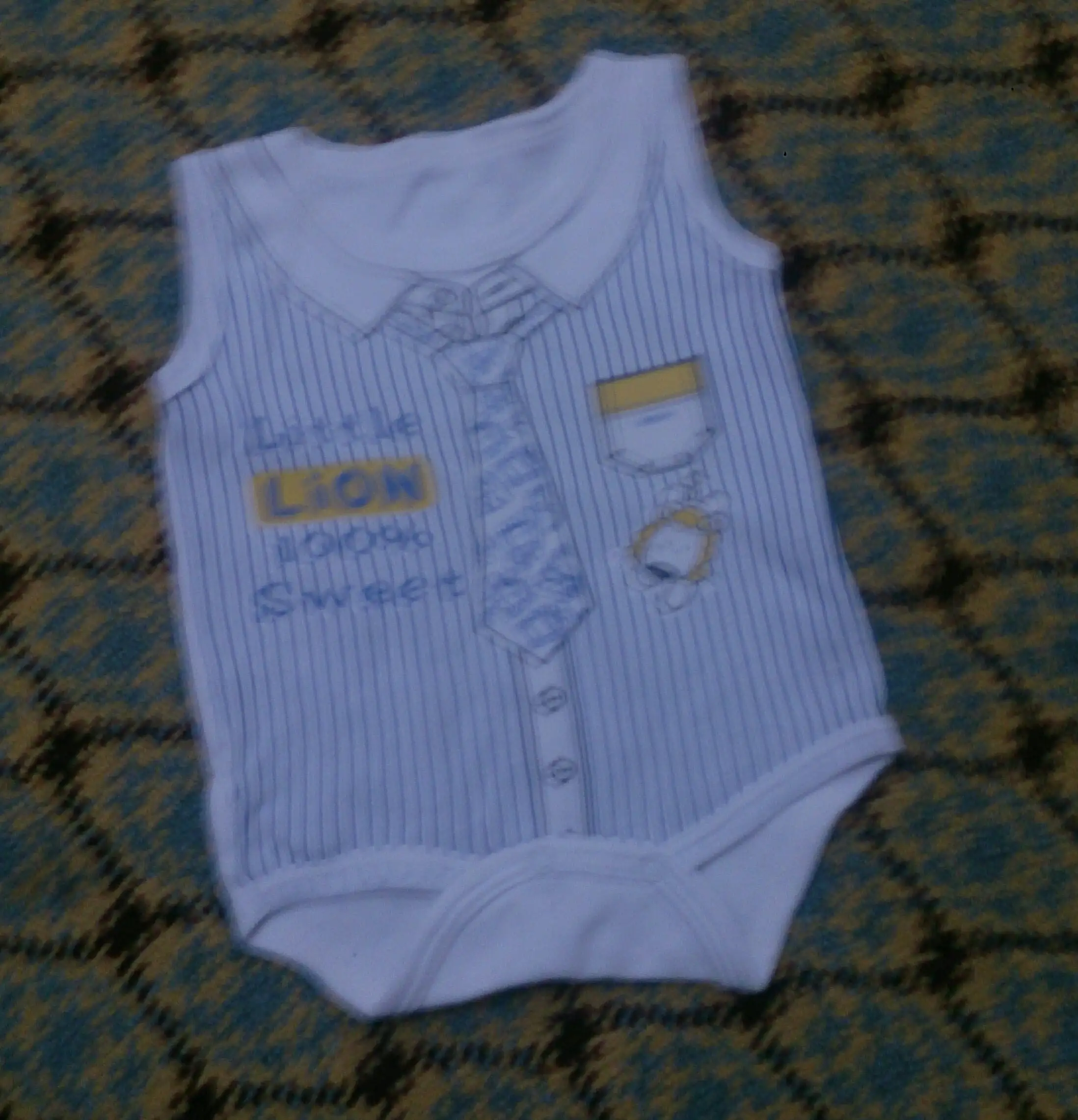 DSC_0961~2.webp
