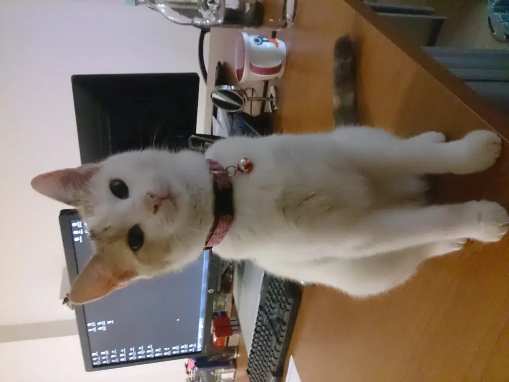 DSC_1028.webp