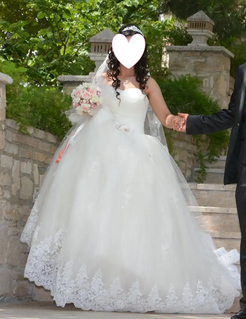 DSC_2361.webp