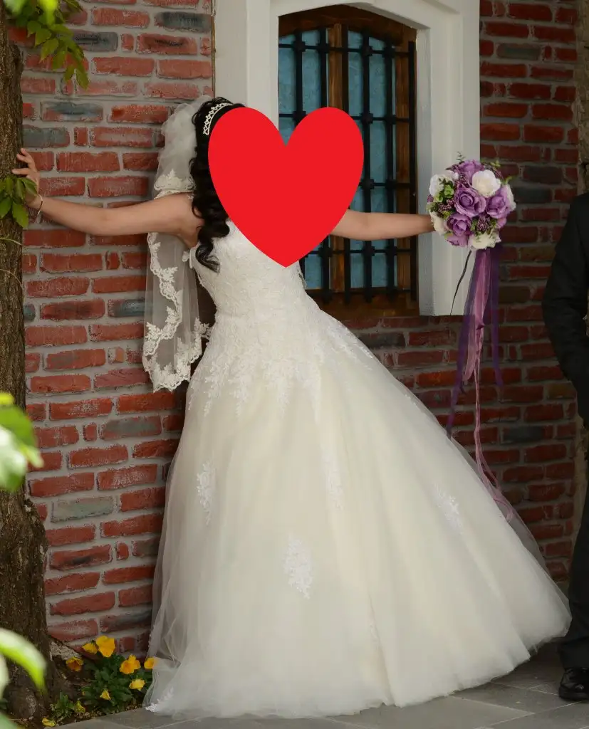 DSC_3695.webp