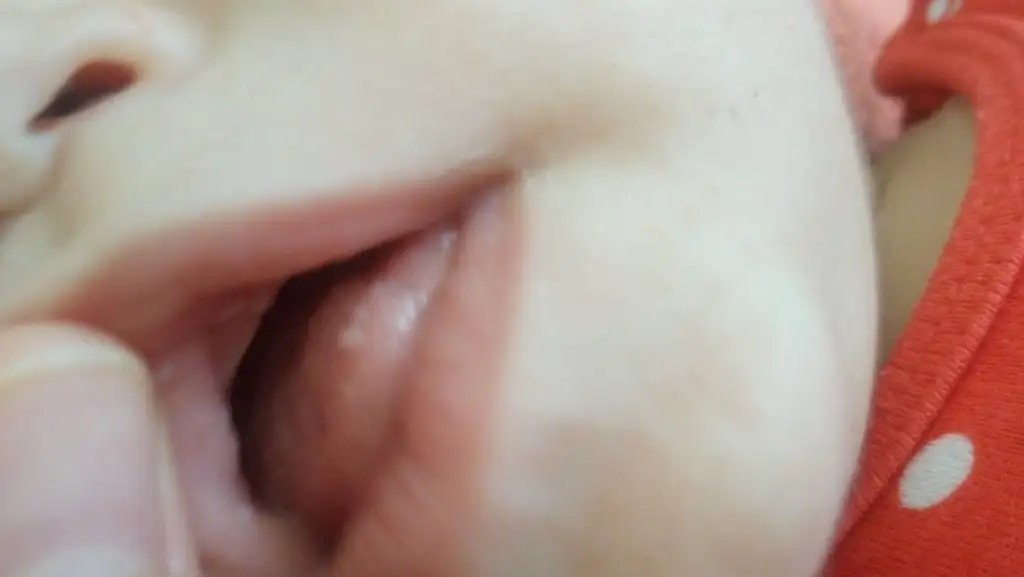 DSC_4532.webp