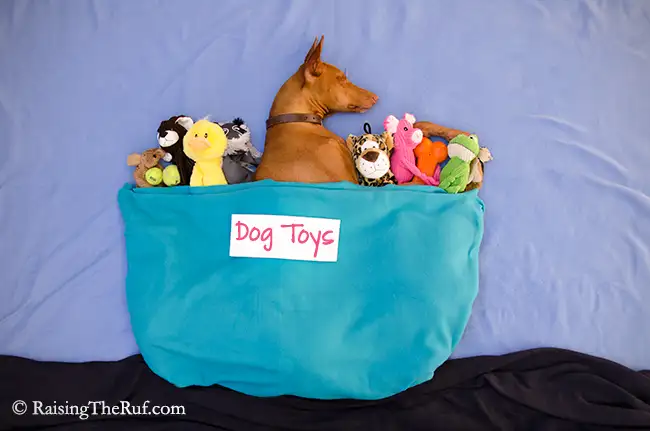 DSC_7087-dogtoys.webp