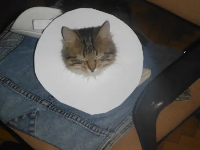 DSCF2529.webp
