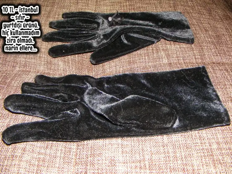 DSCF8565.webp