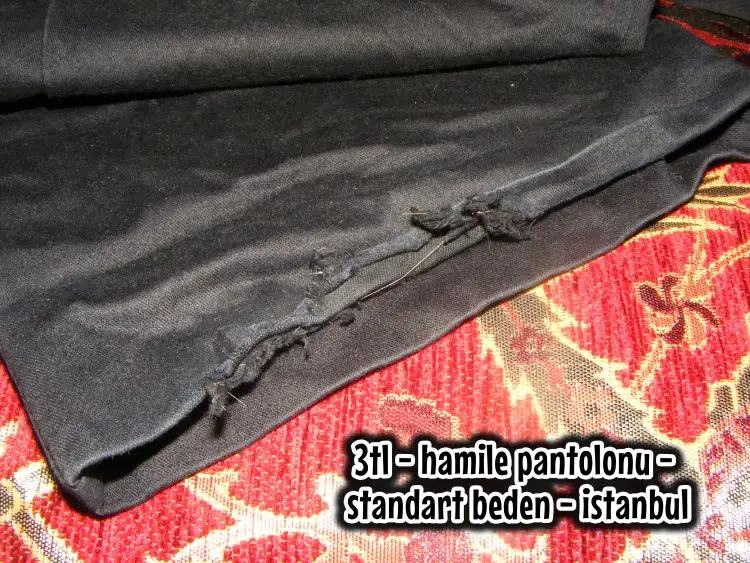 DSCF8619.webp