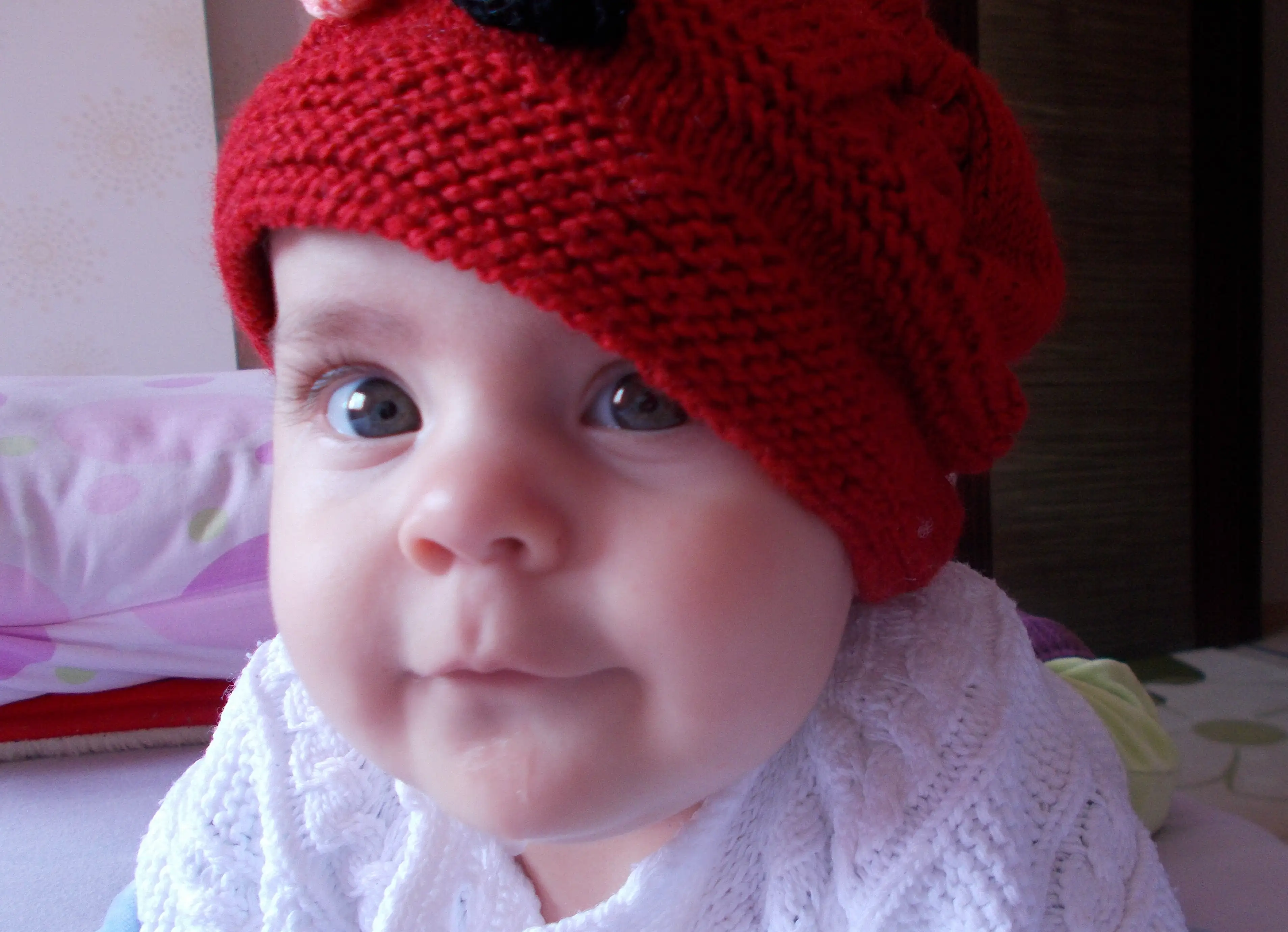 DSCN0292.webp