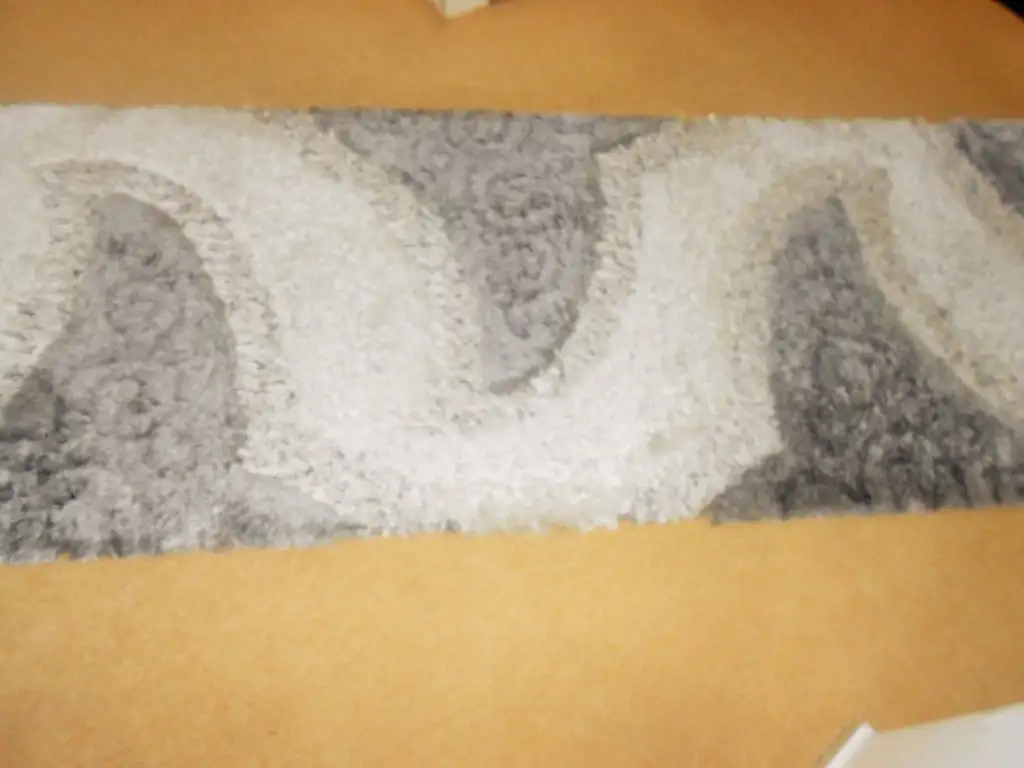 DSCN0676 (2).webp