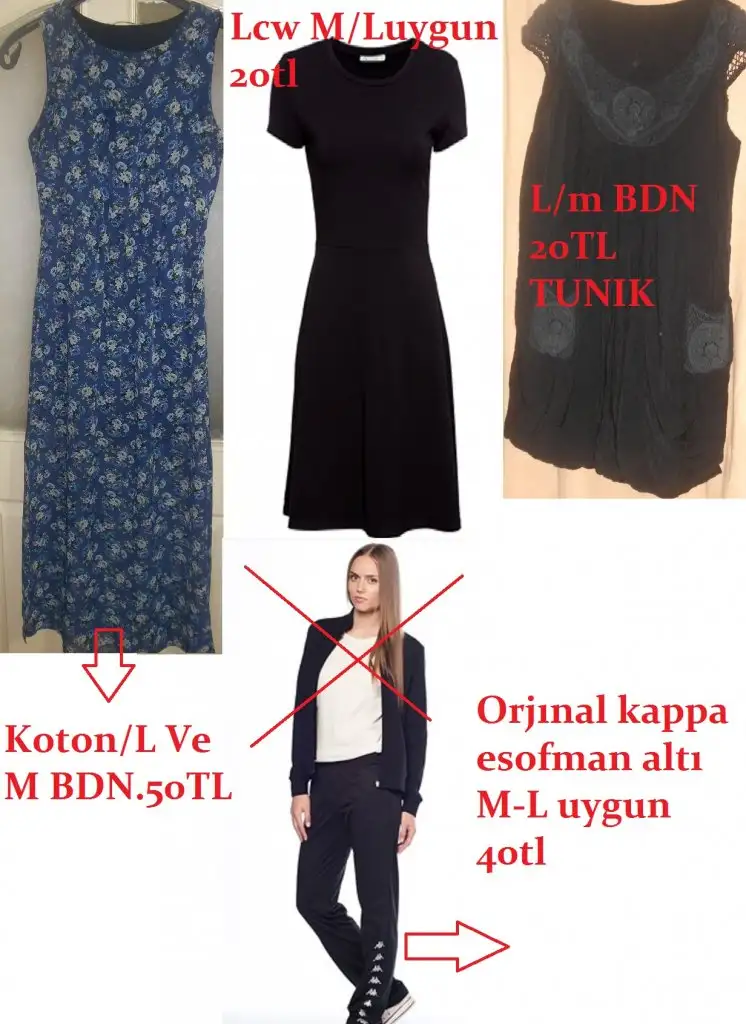 DSCN0894.webp