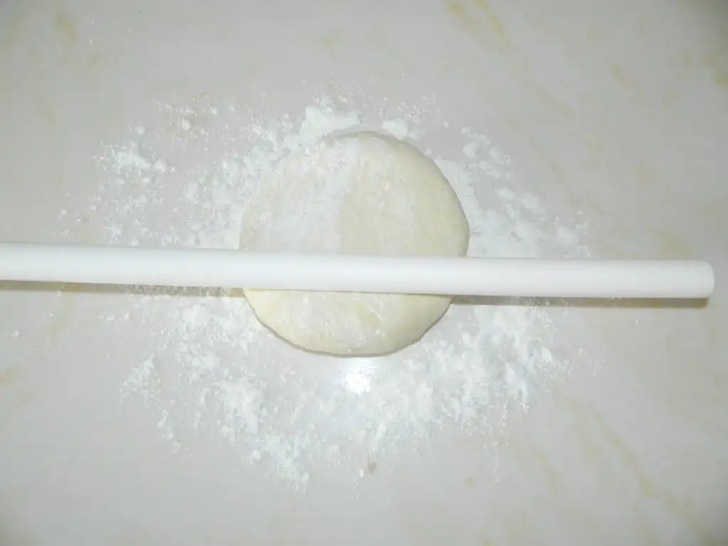 DSCN2773.webp