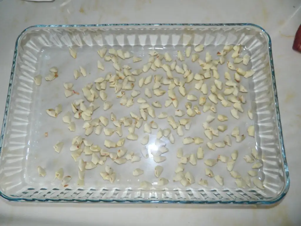 DSCN2783.webp