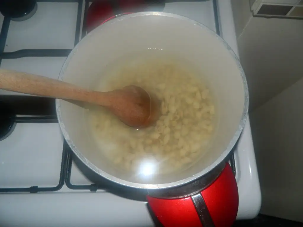 DSCN2788.webp
