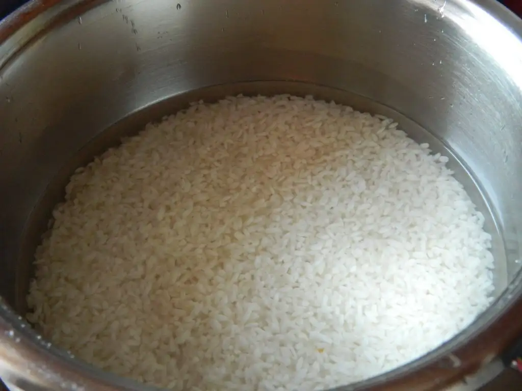 DSCN8254.webp
