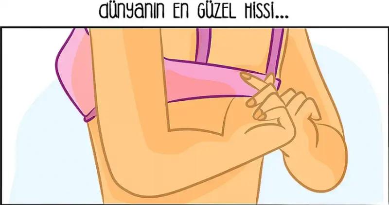 dsfsfs.webp