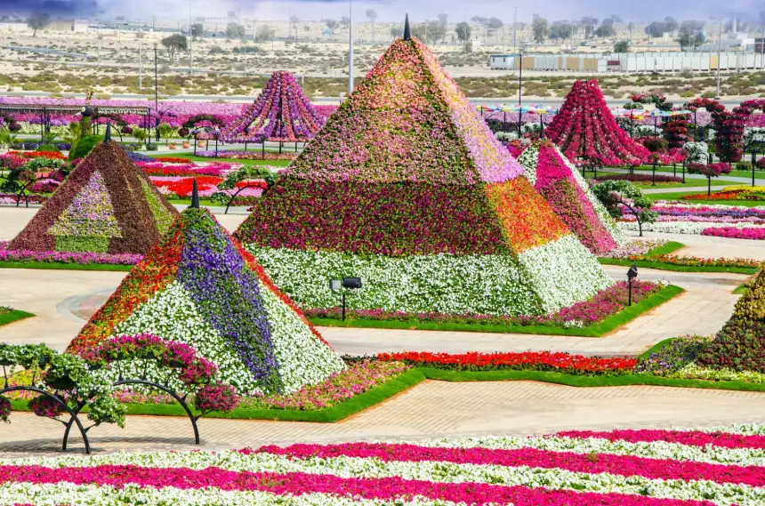 dubai-miracle-garden.webp