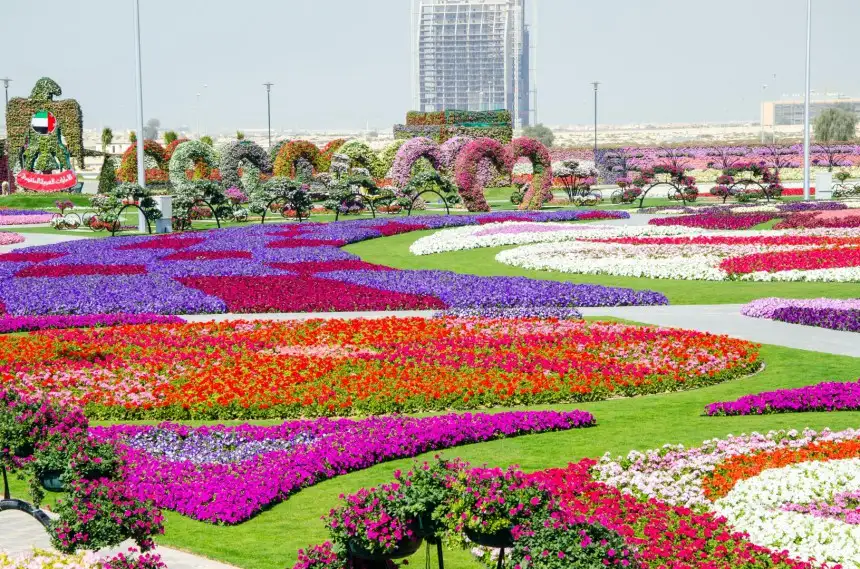 dubai_miracle_garden_1.webp