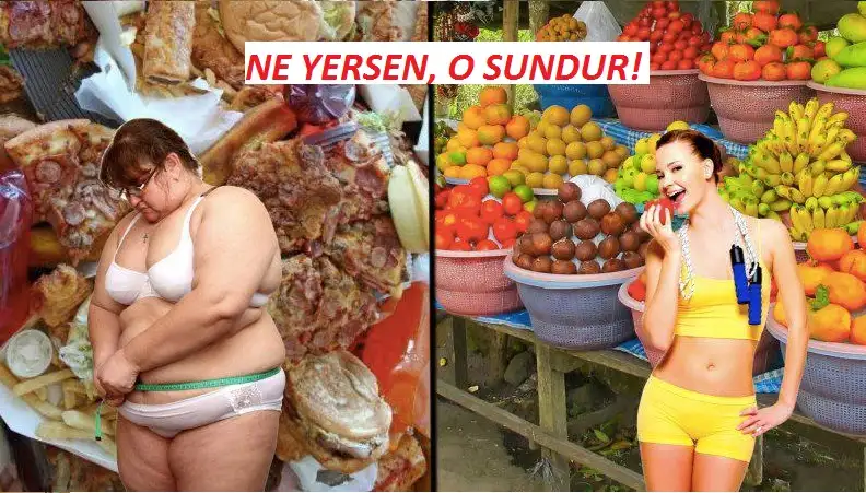 Dukan-Diyeti.webp