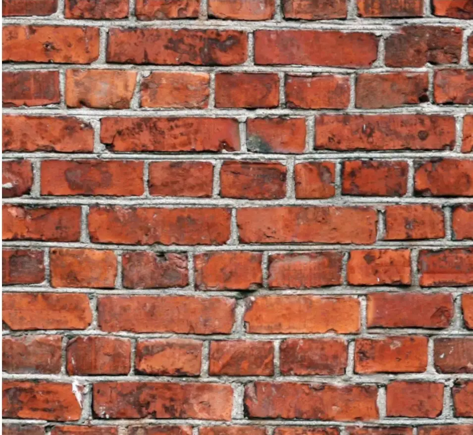 Duvar.webp