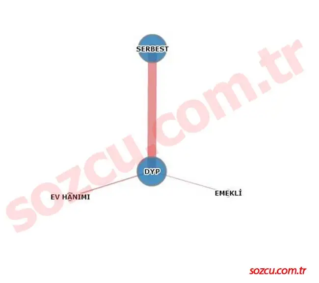 dyp-adaylarinin-meslek-grubu.webp