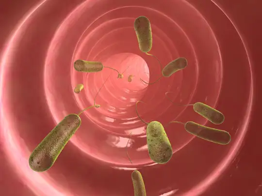 e-coli-bakterisi.webp