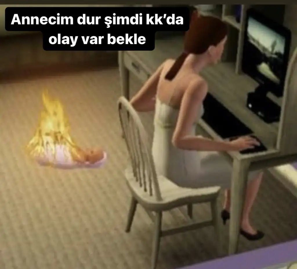 E0A11B31-B4EB-4429-A1E0-BD3357EEFC7E.webp